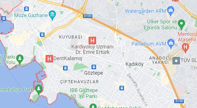 Kadıköy Dolcevita Servisi